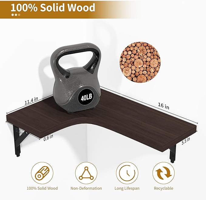 Build your shop with powerful free shopify themes